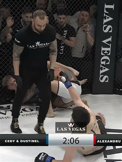 You Don’t Want To Mess With The Referee! #ufc