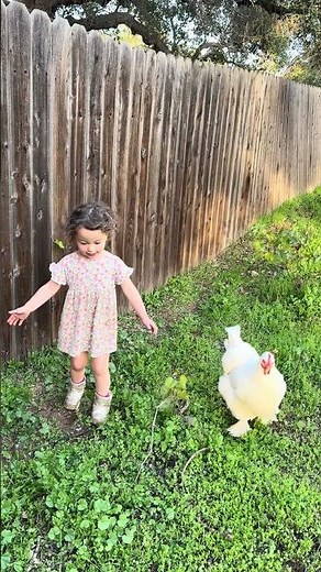 Bluebell is the Chicken Whisperer.