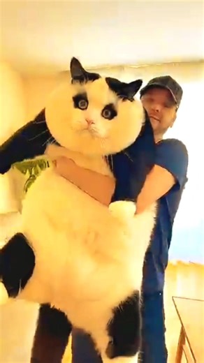 Wildlife Animal Biggest Transformation #shorts #animals #viral