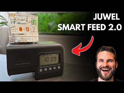 Juwel Smart Feed 2.0 automatic Fish Feeder How To Use & Set Up - Automatic Fish Feeder Review