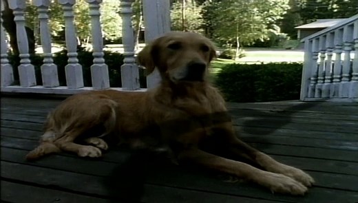 Goosebumps Season1 Episode3 - The Girl Who Cried Monster