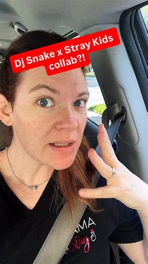 Did you know?? I randomly came across a reel talking about it and I am now shooketh!! This is amazing!!!!! I’m so excited for this release!!! Who would you love to see SKZ collab with? (besides me of course 😉😂) #straykids #djsnake #stay #mamastay | Hayley White Bell