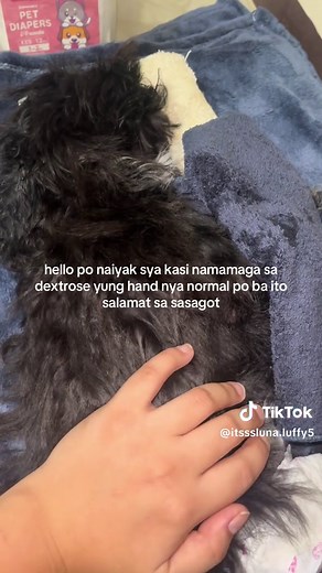 #donation #fyp #dog #doglover #viral