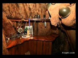 Sunland Baobab A Bar Inside a Hollowed Out Tree