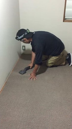 ニーキッカーでグリッパー工法のカーペットを張ってます。