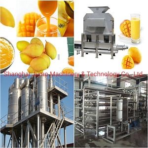 [Hot Item] Mango Puree Processing Line