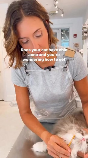 Effective Ways to Treat Cat Chin Acne