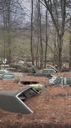 A blanket of cars. Come and see it. | Old Car City USA
