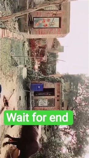 wait for end #desi #funny