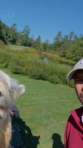 91K views · 2.9K reactions | Still processing how our lives led to this point . New video is live! | Bryan Bros Golf | Facebook