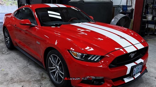 For the mustang lovers, here are some of my favorite mustangs I’ve had the privilege to detail🙂‍↕️. #fyp #clean #detailing #mustang #comeup @Ford Motor Company @Butler Ford @🔹Mustang official🔹