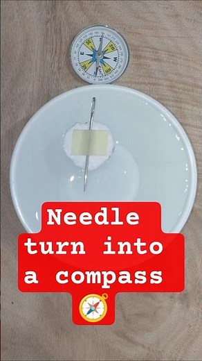 A needle can find North?! 🧭 #shorts #scienceexperiment