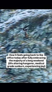 246K views · 251 reactions | Please give us a 4 day work week | Work Retire Die | Facebook