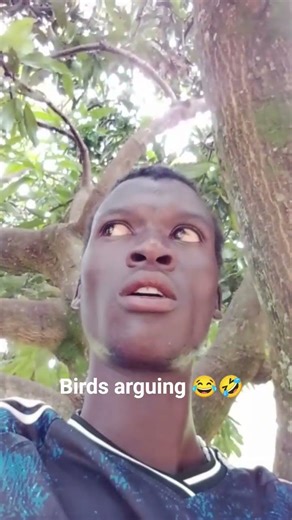 Two birds arguing at morning 😂😂😂🤣🌄😘❤️❤️😘I love the sound 😂