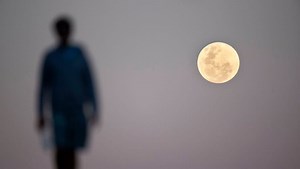 What Your Moon Sign Says About You