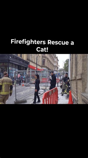 Firefighters Rescue a Cat! #firefighter #Firefighters #bradford #bradfordcity #firebrigade #rescue #catrescue | Bradford Awareness bfd