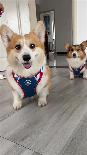 Tutu’s dayliy life on TikTok