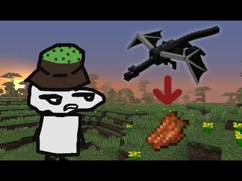 Minecraft Randomizer: quest to make a giant pig structure in every dimension