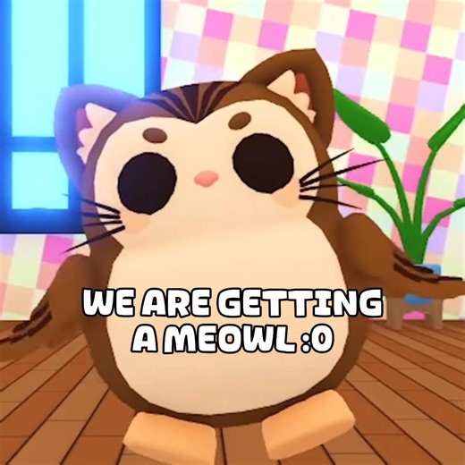MEOWL IN ADOPT ME 🐱🦉