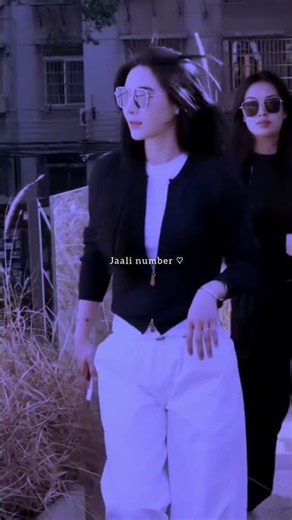 jaali number plate laagi kar di#cheques #slowedandreverb #trendingsong #ytshortsvideo