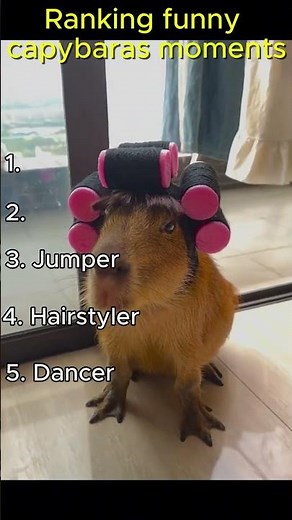 Ranking Funny Capybara Moments