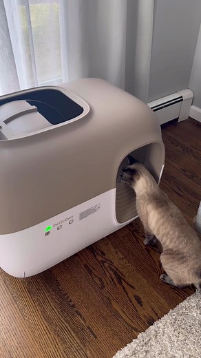 Holiday‑ready home—hands‑free clean. Lock in Black Friday savings: up to $400 off! free shipping 0% APR 30‑Day Home Trial. | PetSnowy