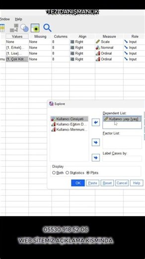 SPSS Veri Temizleme Nasıl Yapılır? Analiz Öncesi Kritik Adımlar