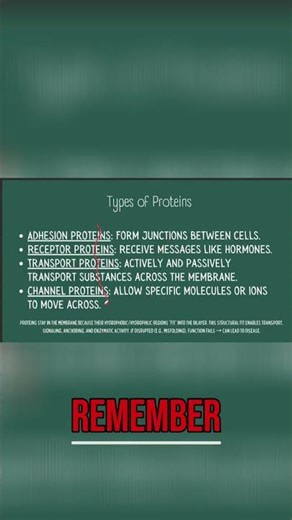 Protein Folding: How Misfolding Leads to Disease Explained #shorts