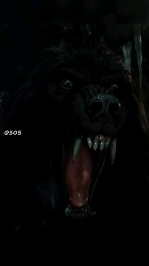The Moonlight Transformation 🐺😱 #werewolf