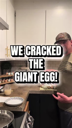After staring at it for two days...we cracked it. #backyardchickens #countrylife #homesteadlife #giantegg #eggcrack @stevenwayne817 @Sunny Chesney @Copper Hardwick