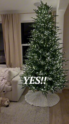 26K views · 46 reactions | This is the viral Home Depot Christmas...