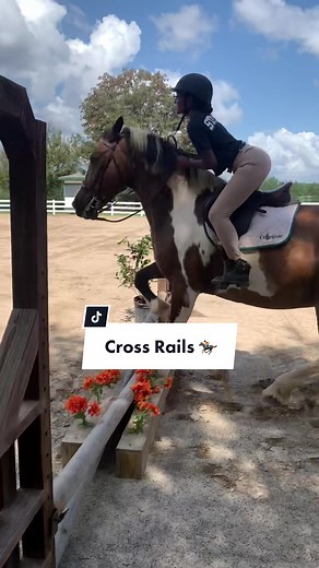 Show Jumping for Beginners with Vivid 🐎✨