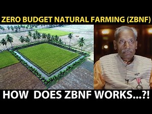 ZERO BUDGET NATURAL FARMING (ZBNF) | Subhash Palekar