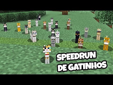 DOMESTIQUEI TODOS OS GATOS DO MINECRAFT NUM SÓ VÍDEO