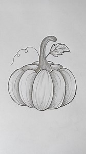 61K views · 714 reactions | How to draw Pumpkin - step by step #Art #Artist #PencilSketch #New #ForYouPage #Motivation #HowToDraw #Love #Pumpkin #Vegetables #Drawing #DrawingTutorial #Scenery #FbReels #Shorts | Tahmina Art Gallery | Facebook