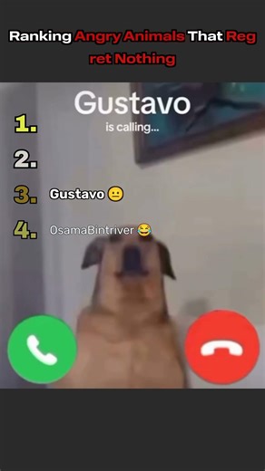 Angry Animals Ranking