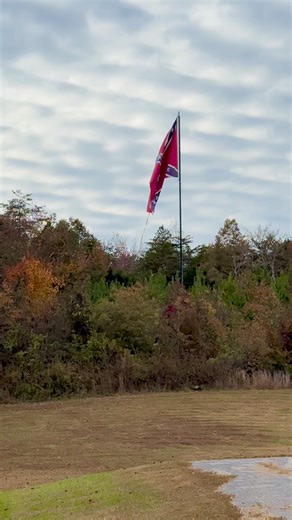Flying beautifully this afternoon. | Judy Smith Photography