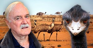 John Cleese to star in absurd Australian comedy, The Great Emu War