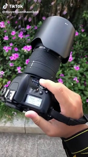 King of Crop: Exploring the Nikon D7500 Camera