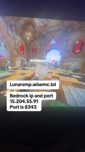 #minecraft ##minecraft #videogames #christmas #donutsmp