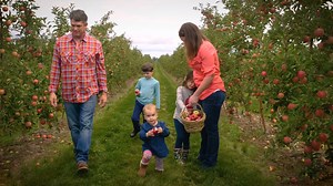 23K views · 309 reactions | New York is proud that we grow the best-tasting apples. Our apples are grown on over 50,000 acres, that’s a whole lot of deliciousness. Ask for NY apples. | New York Apples | Facebook