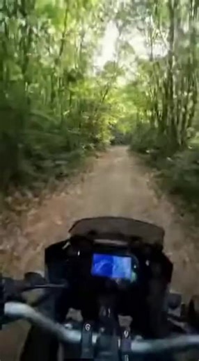 leopard attack on bike 🐅#leopard #bikerider #jungle