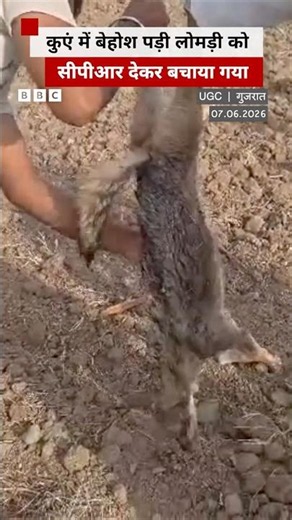 कुएं में फंसी हुई लोमड़ी, CPR देकर बचाया गया #gujarat #fox