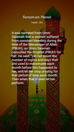 Sunan an-Nasai, Hadith: 355, The Book of Menstruation and Istihadah
