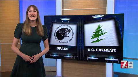 SPASH-D.C. Everest baseball game postponed by rain