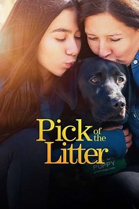 Pick of the Litter (2019-2020) - TV Show