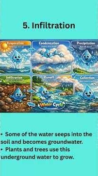 The Water Cycle (hydrologic cycle).. Science with YunSen.. #educational#animation#scienceforkids