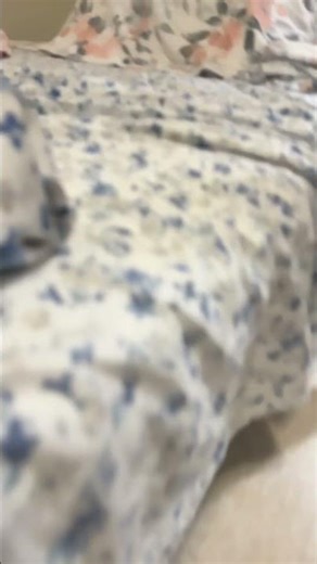 Trying to escape homework