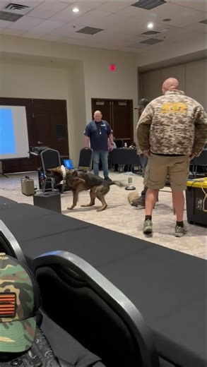 Two different dogs. One constant variable. #detectiondog #policek9