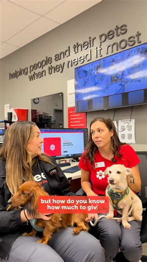 5.4K views · 46 reactions | The real Halloween horror? Trying to make your pet vomit at home!  Hydrogen peroxide can cause painful burns and lead to an even bigger emergency.  We always recommend leaving medical care to the professionals. VEG is open 24/7 - call anytime to speak directly with a doctor who can walk you through what to do in the moment. ❤️ | VEG ER for Pets | Facebook